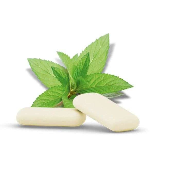 LEMON PHARMA Chewing gum Ginger– Mint 30g LEMON PHARMA Chewing gum Ginger– Mint 30g