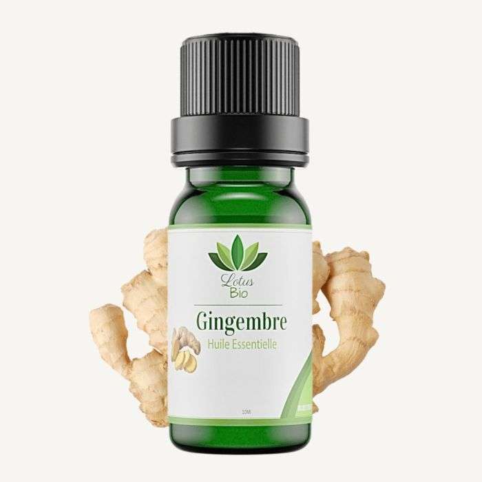LOTUS BIO HUILE ESSENTIELLE DE GINGEMBRE LOTUS BIO HUILE ESSENTIELLE DE GINGEMBRE