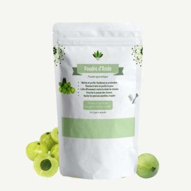 LOTUS BIO POUDRE D'AMLA 100 G LOTUS BIO POUDRE D'AMLA 100 G