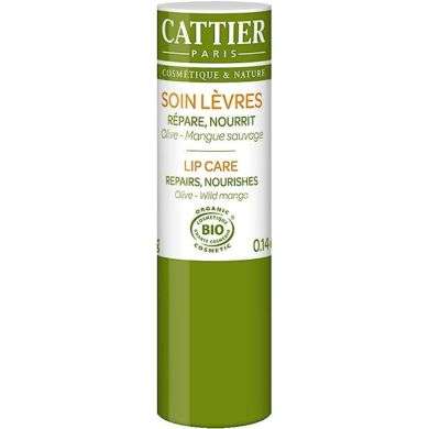 CATTIER SOIN LEVRES OLIVE MANGUE SAUVAGE 4G CATTIER SOIN LEVRES OLIVE MANGUE SAUVAGE 4G