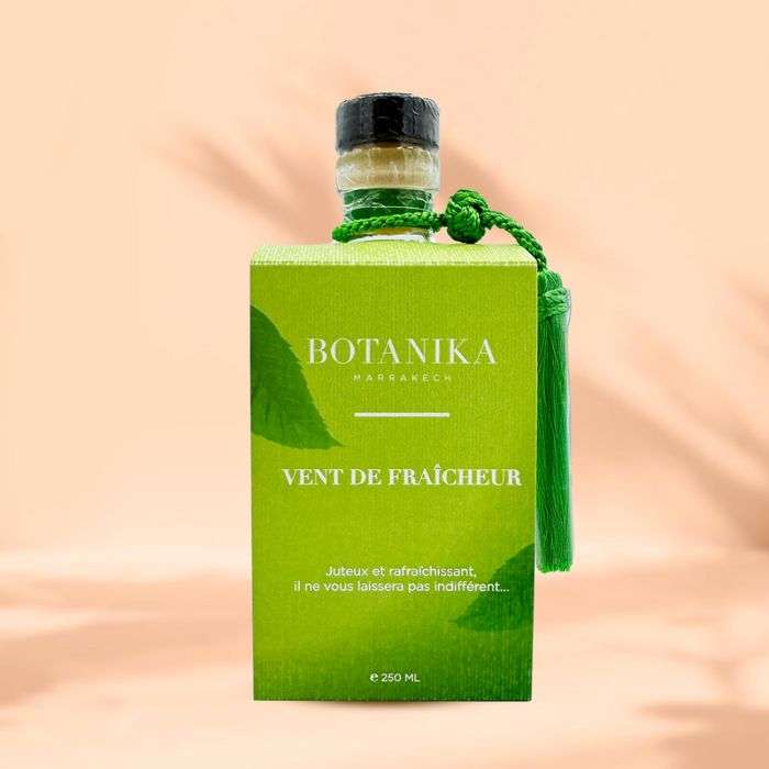 BOTANIKA PARFUM D'AMBIANCE VENT DE FRAIHEUR 250 ML BOTANIKA PARFUM D'AMBIANCE VENT DE FRAIHEUR 250 ML
