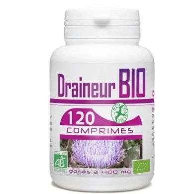 GPH Diffusion Curcuma Bio 400mg - 120 Comprimés Maroc