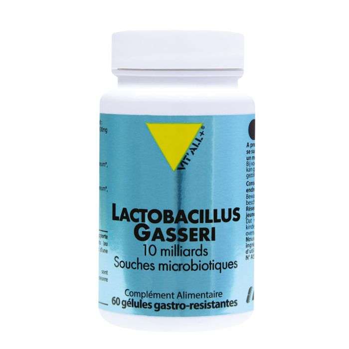 VIT ALL+ LACTOBACILLUS GASSERI 60 GELULES VIT ALL+ LACTOBACILLUS GASSERI 60 GELULES