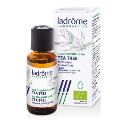 LADROME HUILE ESSENTIELLE BIO TEA TREE  LADROME HUILE ESSENTIELLE BIO TEA TREE