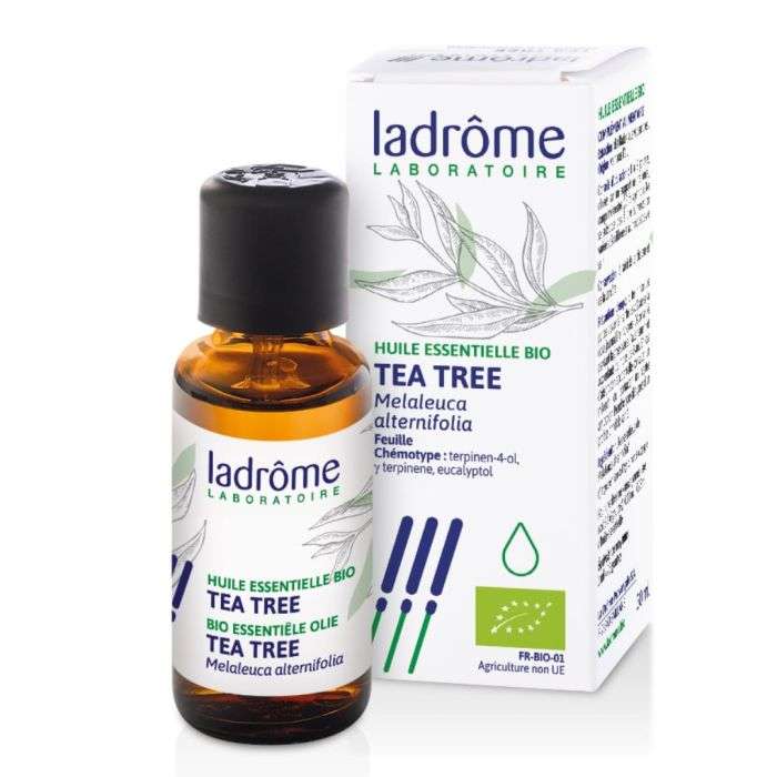 LADROME HUILE ESSENTIELLE BIO TEA TREE  LADROME HUILE ESSENTIELLE BIO TEA TREE
