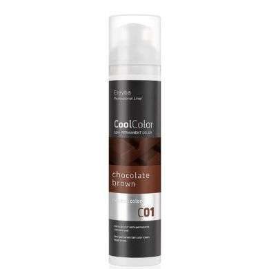 ERAYBA COOL COLOR C 01 CHOCOLAT NATURAL COLOR 100 ML ERAYBA COOL COLOR C 01 CHOCOLAT NATURAL COLOR 100 ML