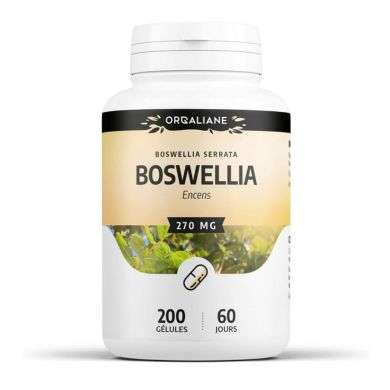 GPH BOSWELLLIA ENCENS 200 GELULES 270 MG GPH BOSWELLLIA ENCENS 200 GELULES 270 MG
