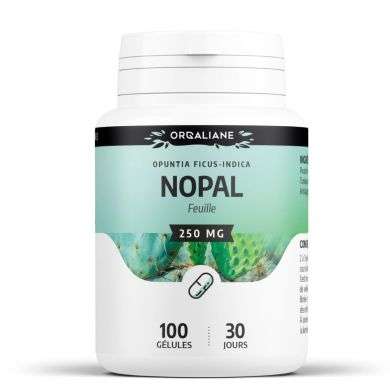 GPH NOPAL FEUILLE 250 MG 100 GELULES GPH NOPAL FEUILLE 250 MG 100 GELULES