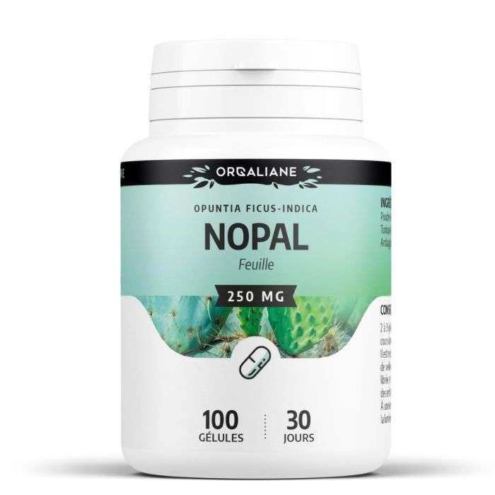 GPH NOPAL FEUILLE 250 MG 100 GELULES GPH NOPAL FEUILLE 250 MG 100 GELULES