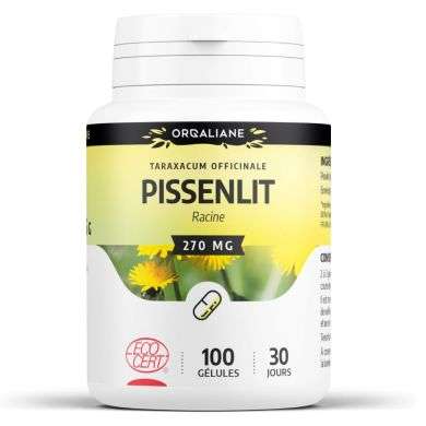 GPH PISSENLIT RACINE 270 MG 100 GELULES