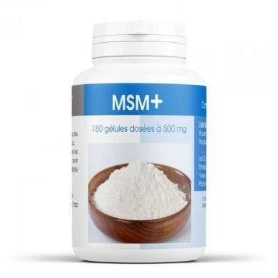 GPH MSM 180 GELULES DOSEES A 500 MG