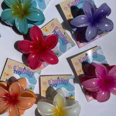 FACELAB PINCE A CHEVEUX 