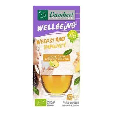 DAMBERT WELLBEING IMMUNITE GINGEMBRE CITRON VERT 20 SACHETS DAMBERT WELLBEING IMMUNITE GINGEMBRE CITRON VERT 20 SACHETS