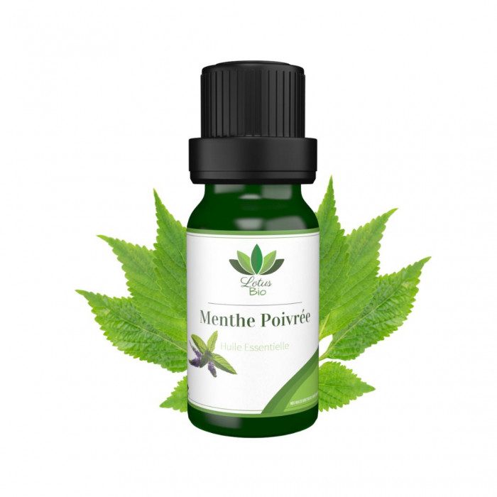 LOTUS BIO Huile essentielle de Menthe Poivrée LOTUS BIO Huile essentielle de Menthe Poivrée