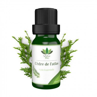 LOTUS BIO Huile essentielle de Cèdre de l’Atlas LOTUS BIO Huile essentielle de Cèdre de l’Atlas