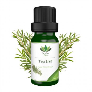 LOTUS BIO Huile essentielle de Tea Tree LOTUS BIO Huile essentielle de Tea Tree