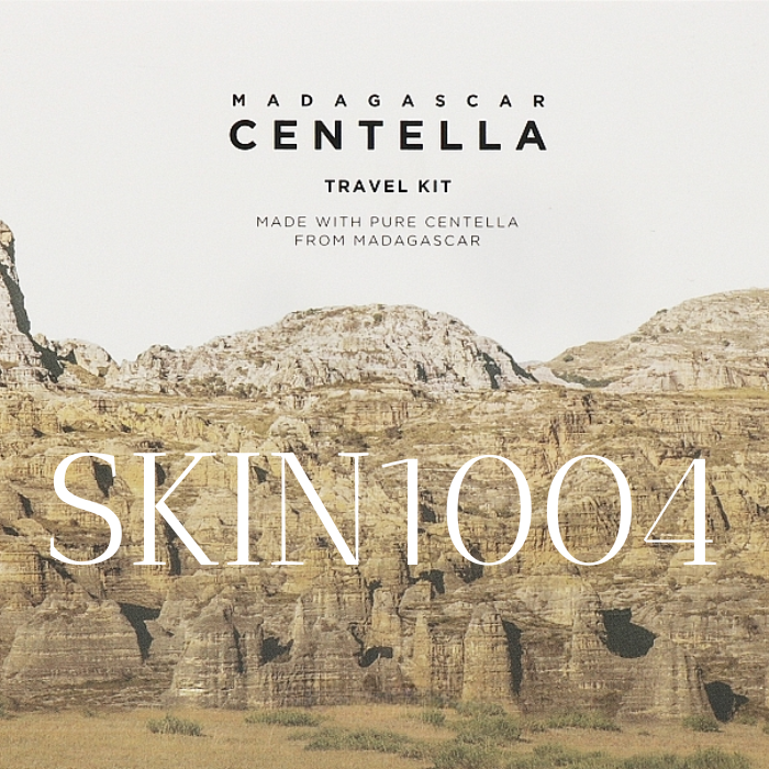 SKIN 1004